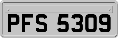 PFS5309