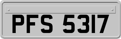 PFS5317