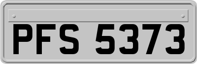 PFS5373