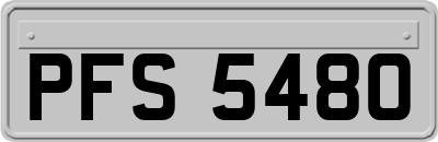 PFS5480
