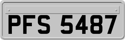 PFS5487