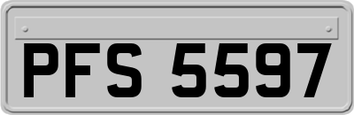 PFS5597
