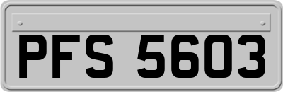 PFS5603