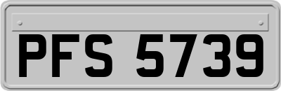 PFS5739
