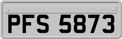 PFS5873