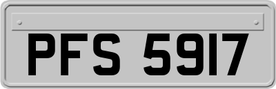 PFS5917