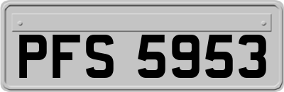 PFS5953