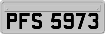 PFS5973