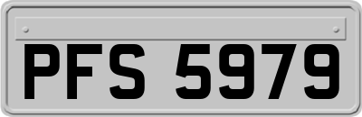 PFS5979