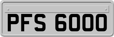 PFS6000