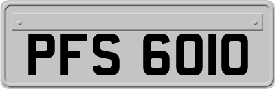 PFS6010