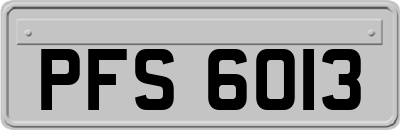 PFS6013