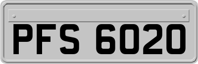 PFS6020