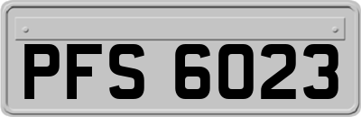 PFS6023