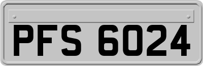 PFS6024