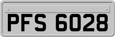 PFS6028