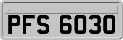 PFS6030