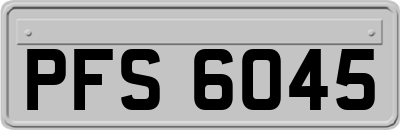 PFS6045