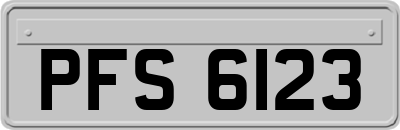 PFS6123
