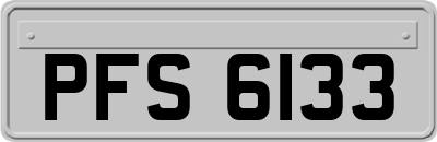 PFS6133