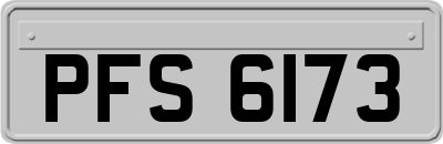 PFS6173