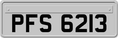 PFS6213