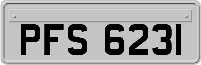PFS6231