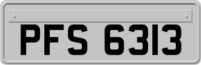 PFS6313