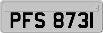 PFS8731