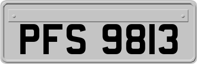 PFS9813