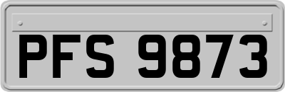 PFS9873