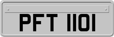 PFT1101