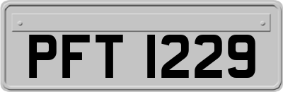 PFT1229