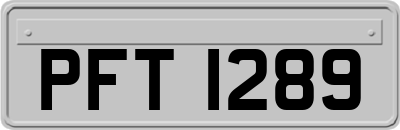 PFT1289