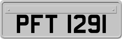 PFT1291