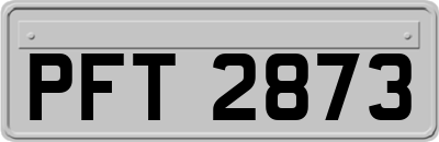 PFT2873