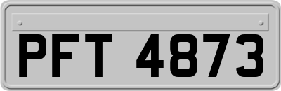 PFT4873
