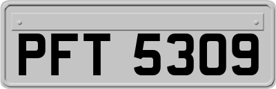 PFT5309