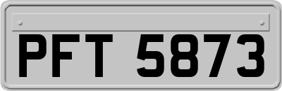 PFT5873