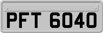 PFT6040