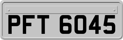 PFT6045