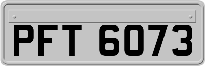 PFT6073