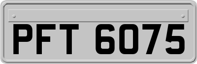 PFT6075