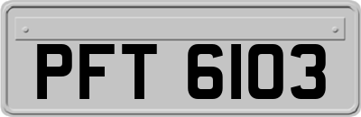 PFT6103