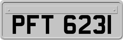 PFT6231