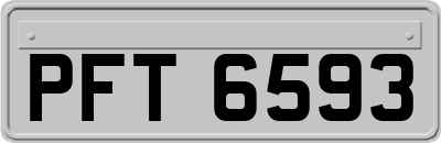 PFT6593