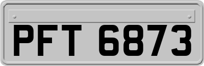 PFT6873