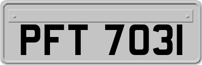 PFT7031