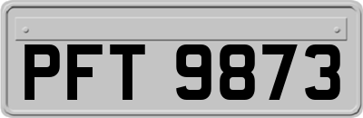 PFT9873
