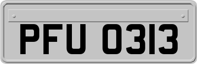 PFU0313